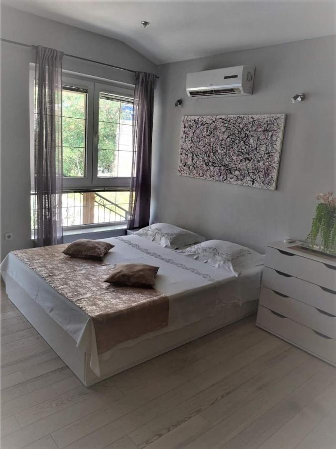 Apartment Ventula Mimice