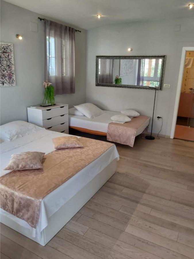 Apartment Ventula Mimice